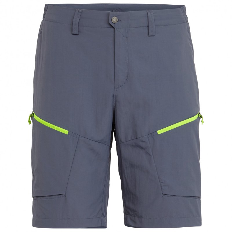 Vermouda-SALEWA-PUEZ-DRY-shorts.jpg